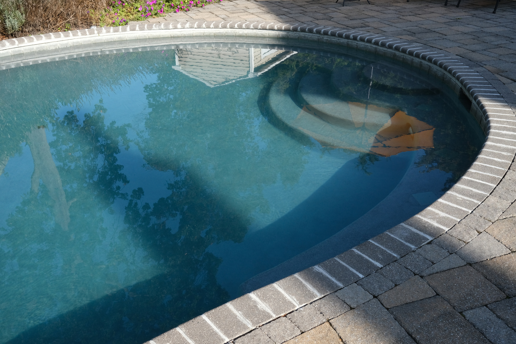 pool construction in Palm Beach County FL