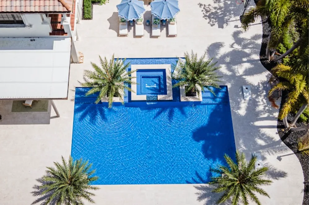 Aerial view of a custom pool with spa and palm trees